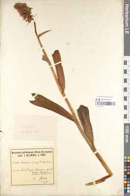 LE 01107772