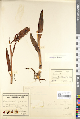 LE 01107774