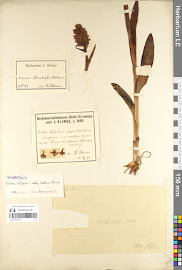 LE 01107775