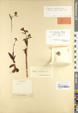 LE 01107797