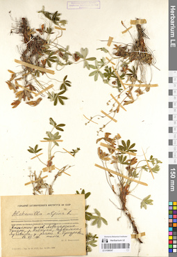 LE 01086547