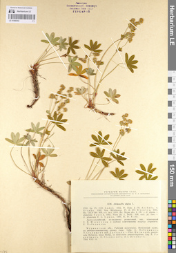 LE 01086552