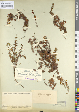 LE 01099707