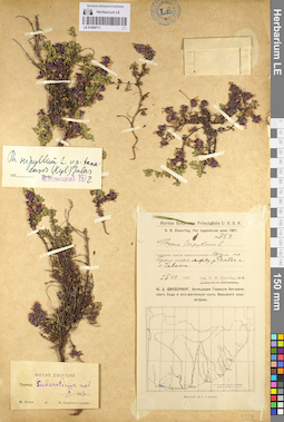 LE 01099711