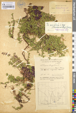 LE 01099712