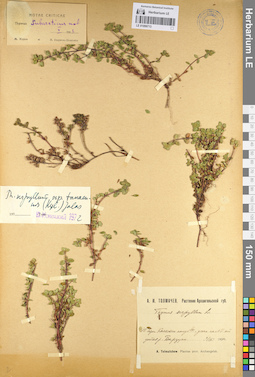 LE 01099713
