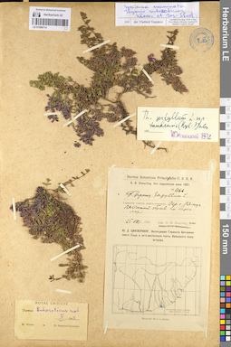 LE 01099714