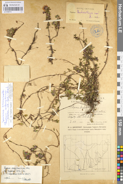 LE 01099715