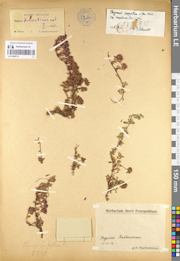 LE 01099718