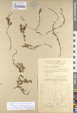 LE 01099719