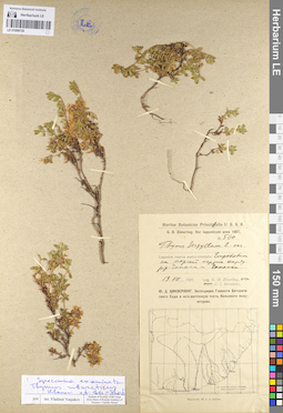 LE 01099720
