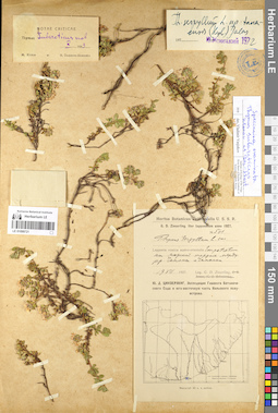 LE 01099721