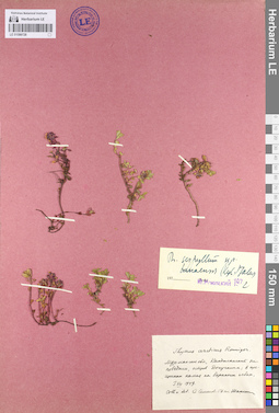 LE 01099728