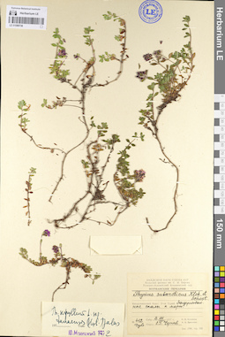 LE 01099736