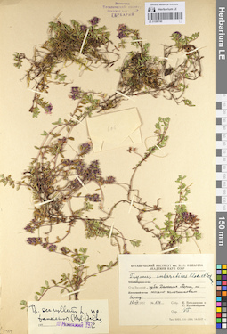 LE 01099740