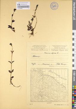 LE 01099886