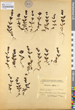 LE 01099890