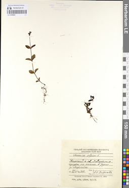 LE 01099904
