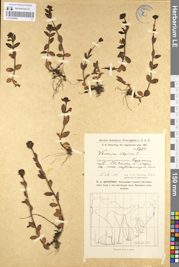 LE 01099906