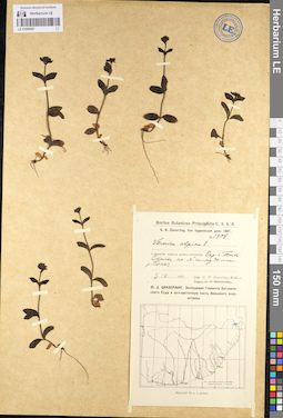 LE 01099907