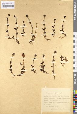 LE 01099908