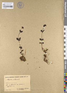 LE 01099917