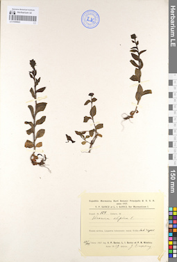 LE 01099923
