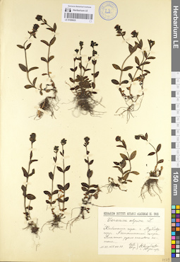 LE 01099925