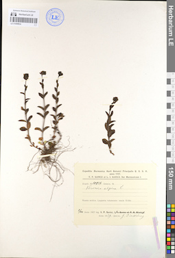 LE 01099934