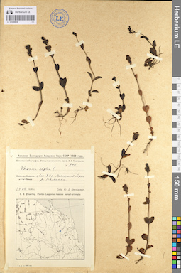 LE 01099939