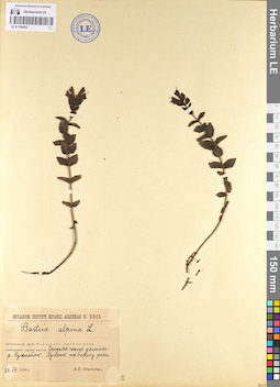 LE 01100453
