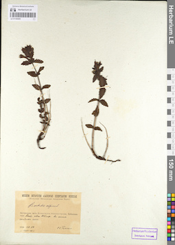 LE 01100455