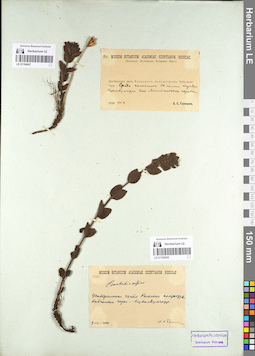 LE 01100457