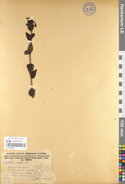 LE 01100461