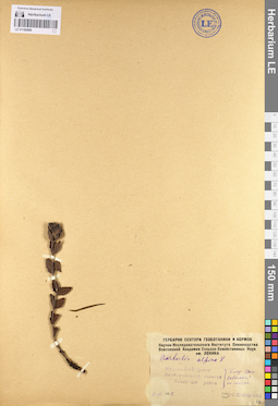 LE 01100468