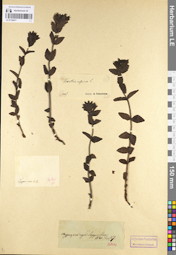 LE 01100477
