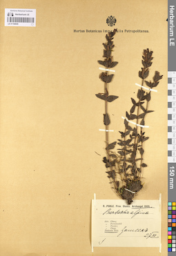 LE 01100609