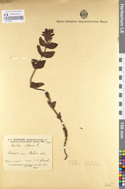 LE 01100622