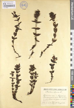 LE 01100624