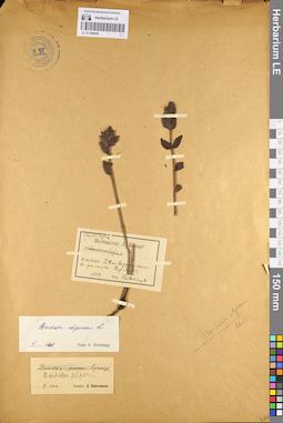 LE 01100628
