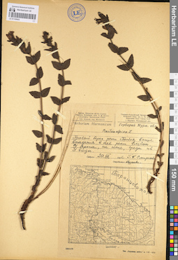 LE 01100643