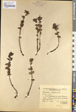 LE 01100644