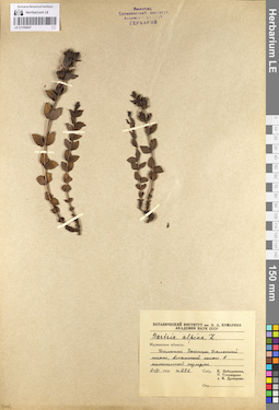 LE 01100647