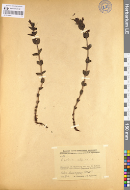 LE 01100661