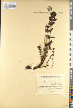 LE 01100670