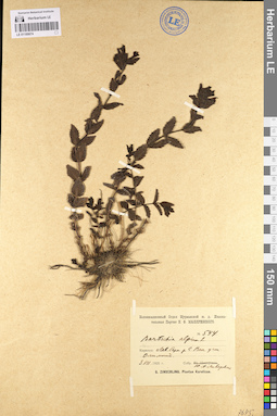 LE 01100674
