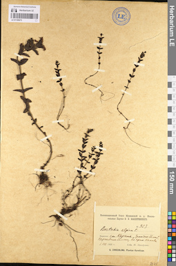LE 01100675