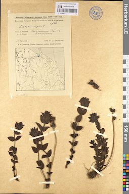 LE 01100677