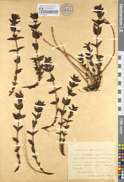 LE 01100684