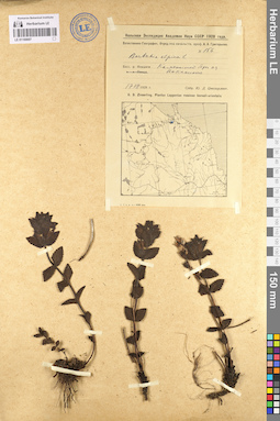LE 01100697